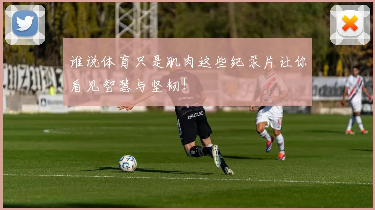 谁说体育只是肌肉这些纪录片让你看见智慧与坚韧！
