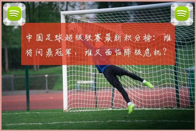 中国足球超级联赛最新积分榜:谁将问鼎冠军,谁又面临降级危机?